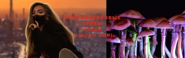 СК Балахна