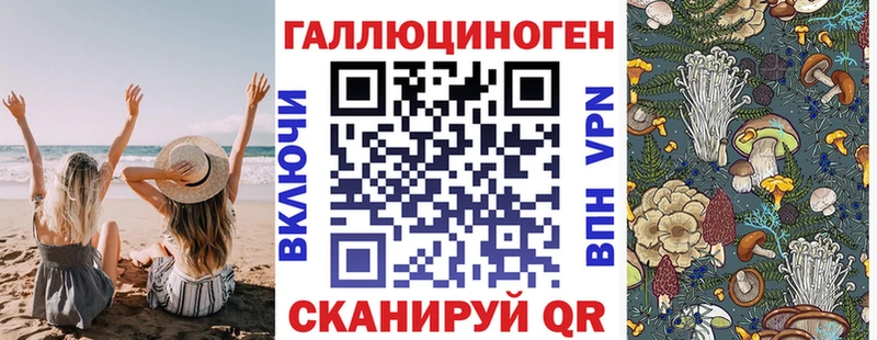 гидра онион  Кукмор  Галлюциногенные грибы ЛСД 