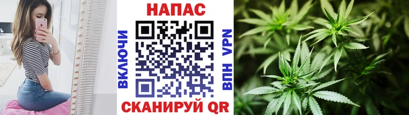 Шишки марихуана OG Kush  shop официальный сайт  Кукмор  кракен ONION 